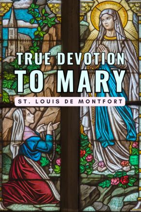 Portada de True Devotion to Mary