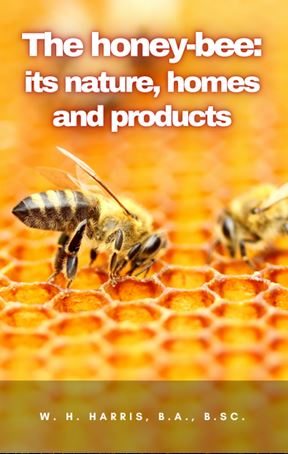 Portada de The honey-bee