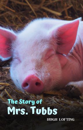 Portada de The Story of Mrs. Tubbs