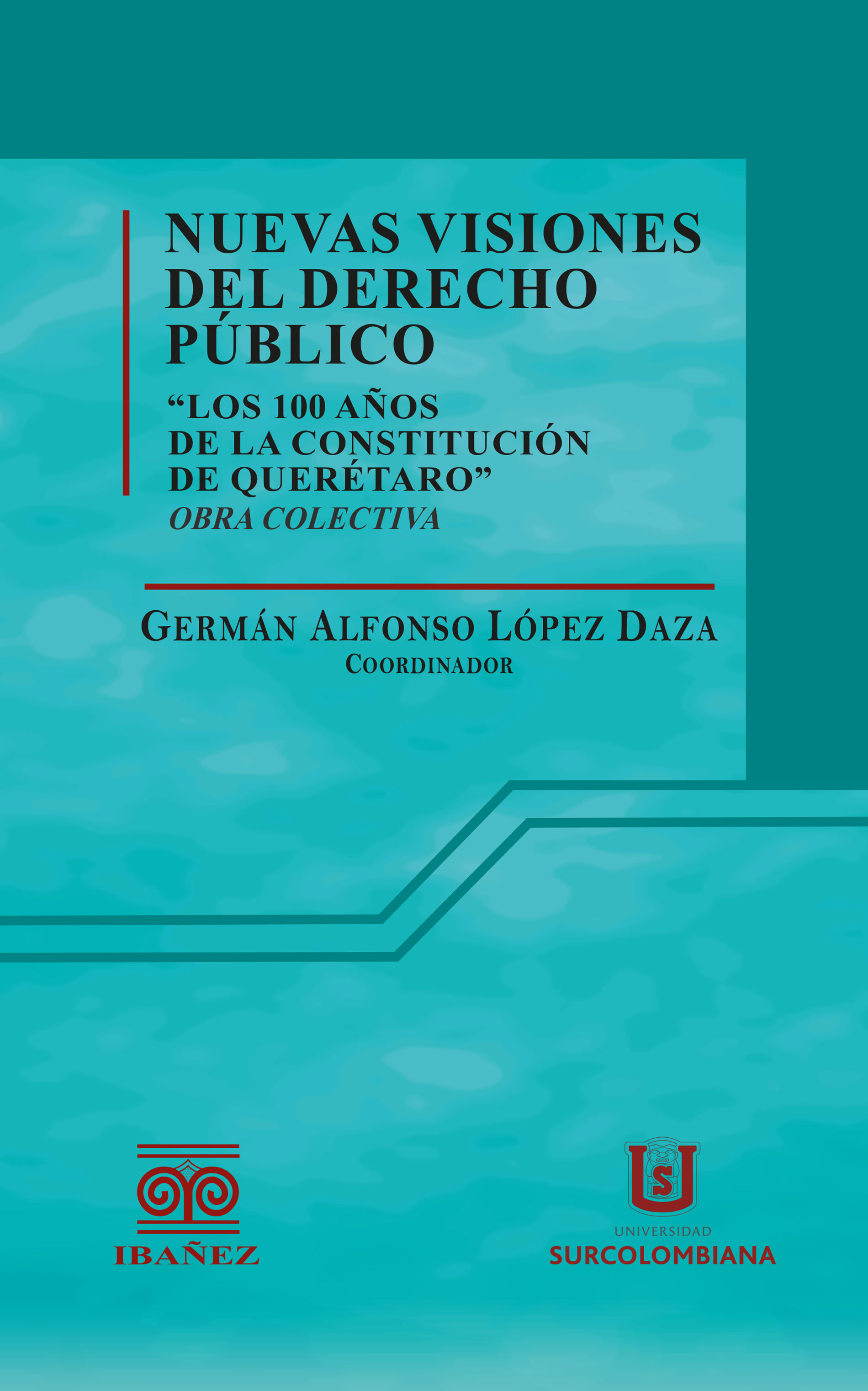 Portada de Nuevas visiones del derecho público