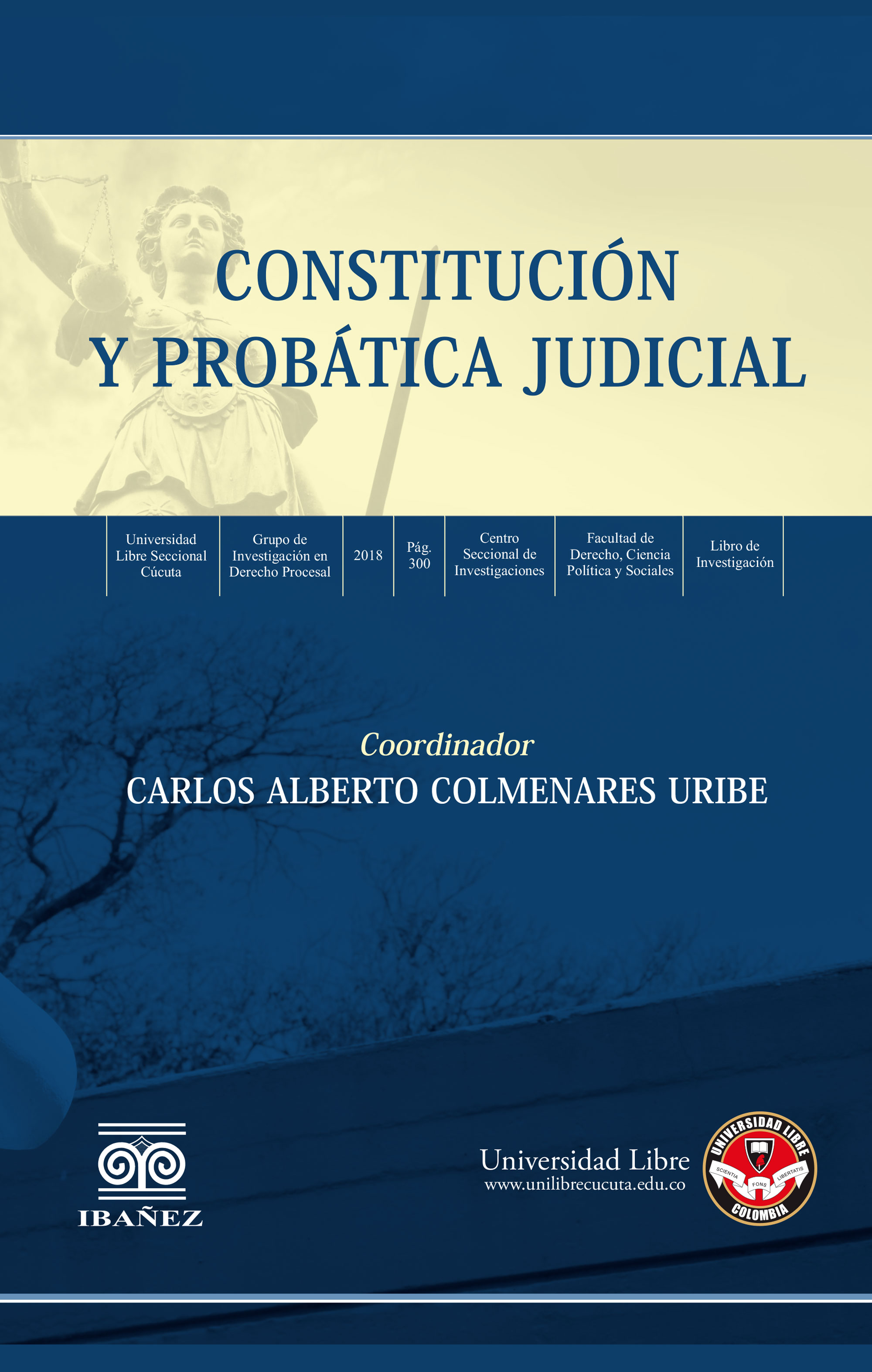Portada de Constitución y probática judicial