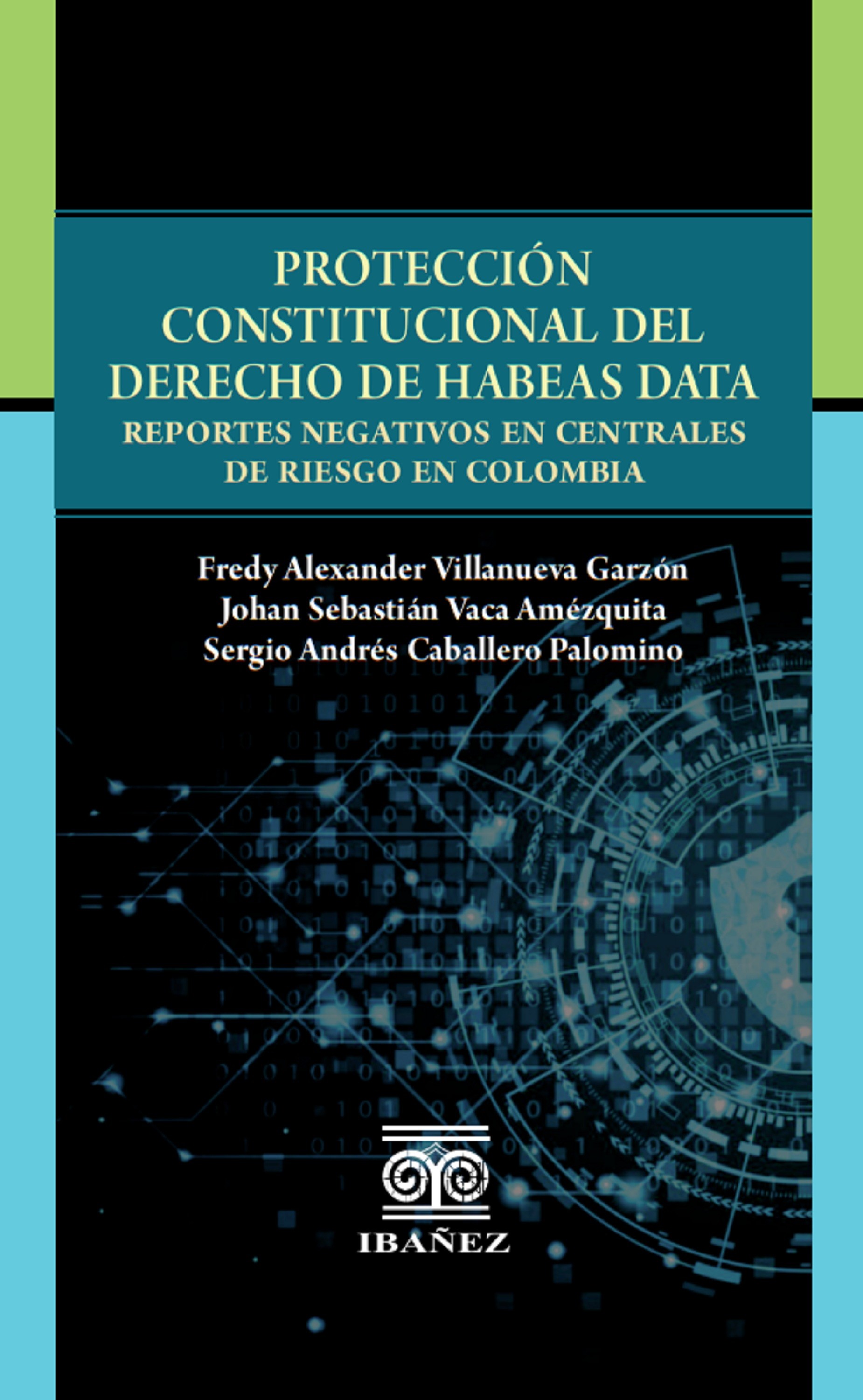 Portada de Protección constitucional del derecho de Habeas Data