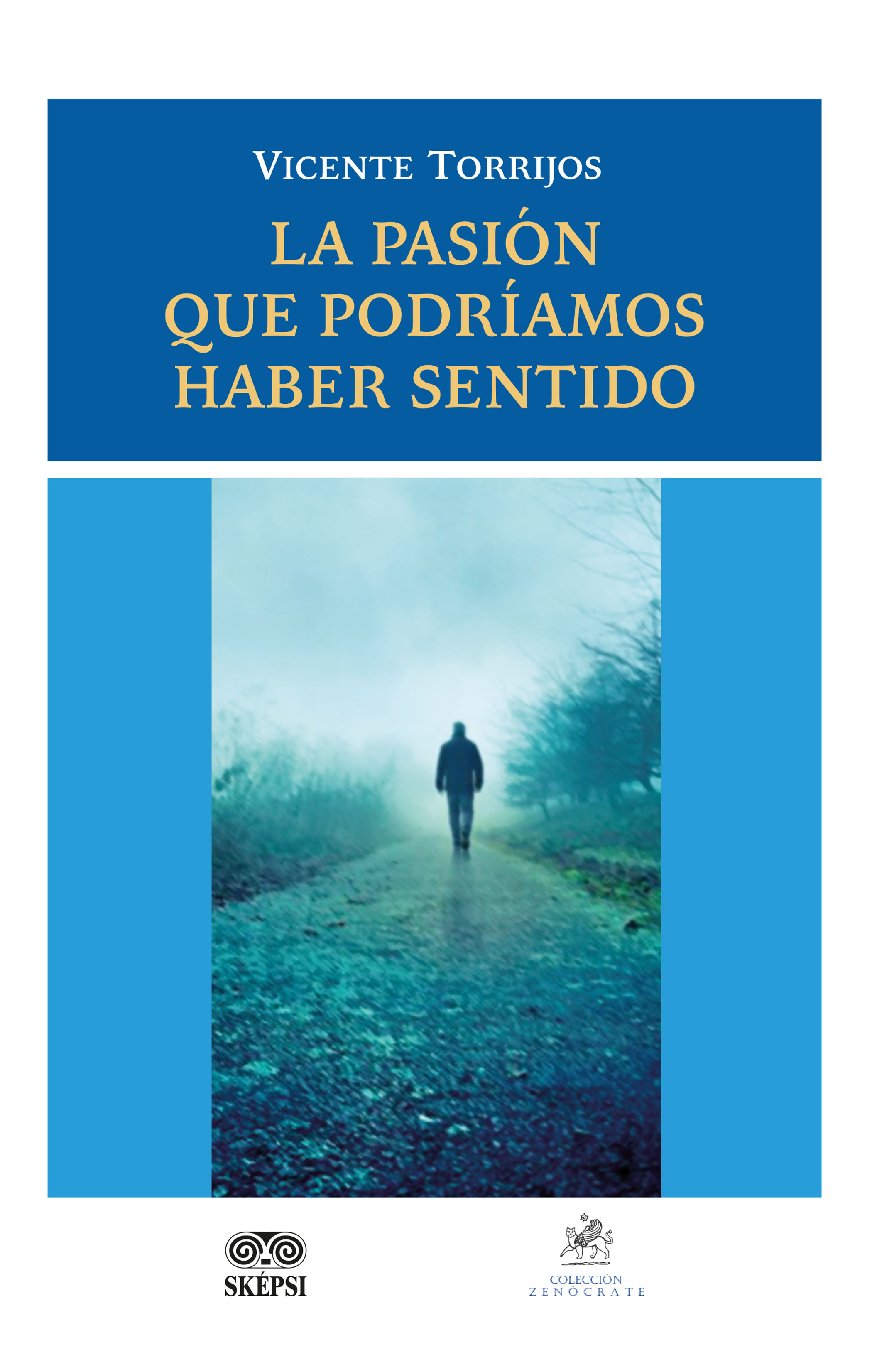 Portada de La pasión que podríamos haber sentido