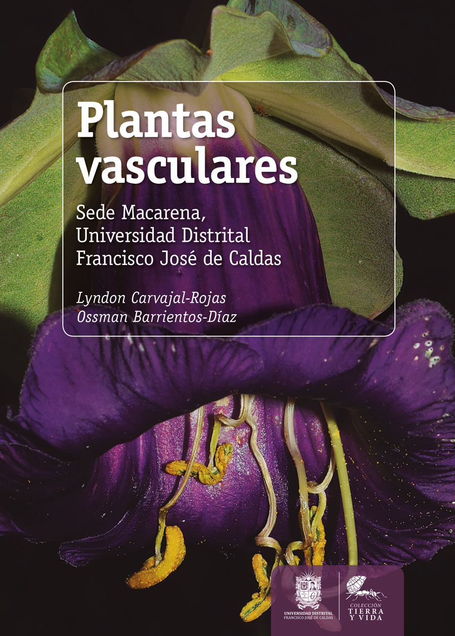Portada de Plantas vasculares