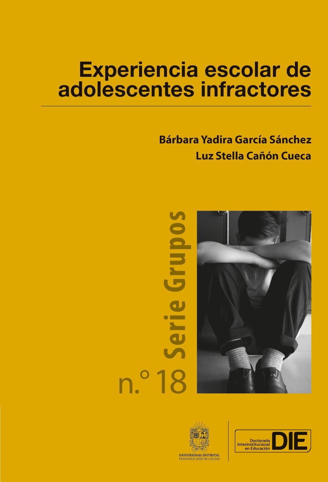 Portada de Experiencia escolar de adolescentes infractores