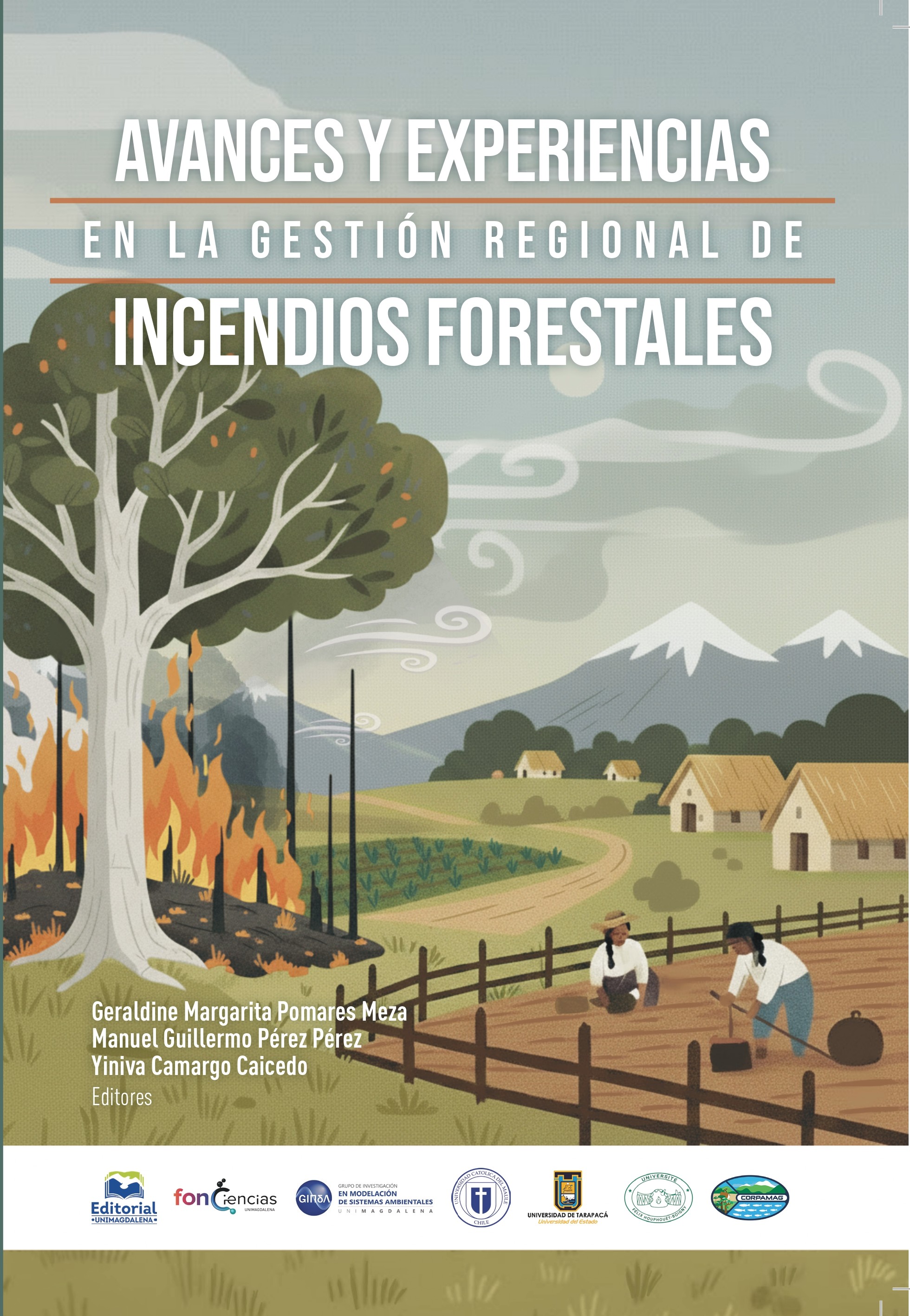 Portada de Avances y experiencias en la gestión regional de incendios forestales
