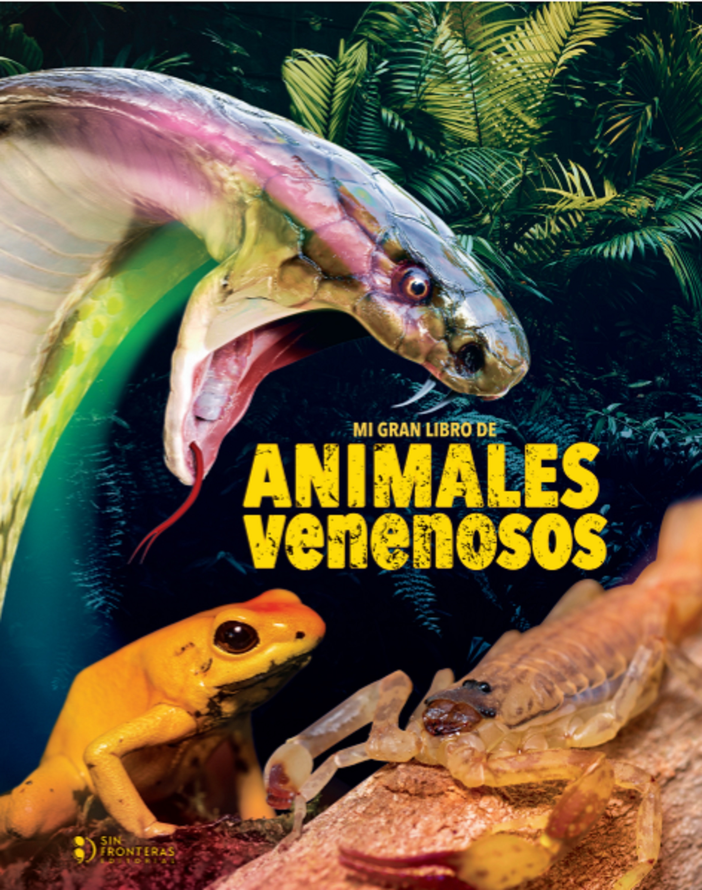 Portada de Mi gran libro de animales venenosos