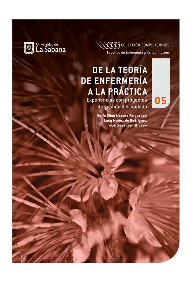 Portada de De la teoría de la enfermería a la práctica
