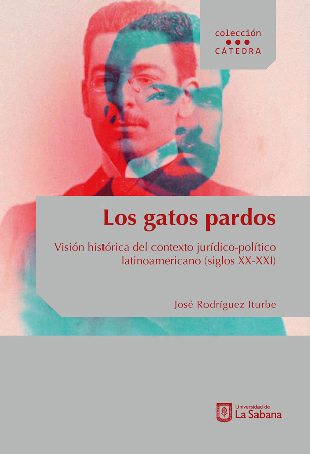 Portada de Los gatos pardos