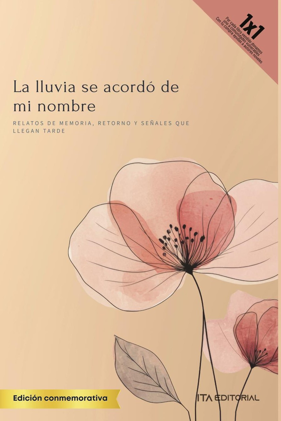 Portada de La lluvia se acordó de mi nombre · ITA Autores Varios