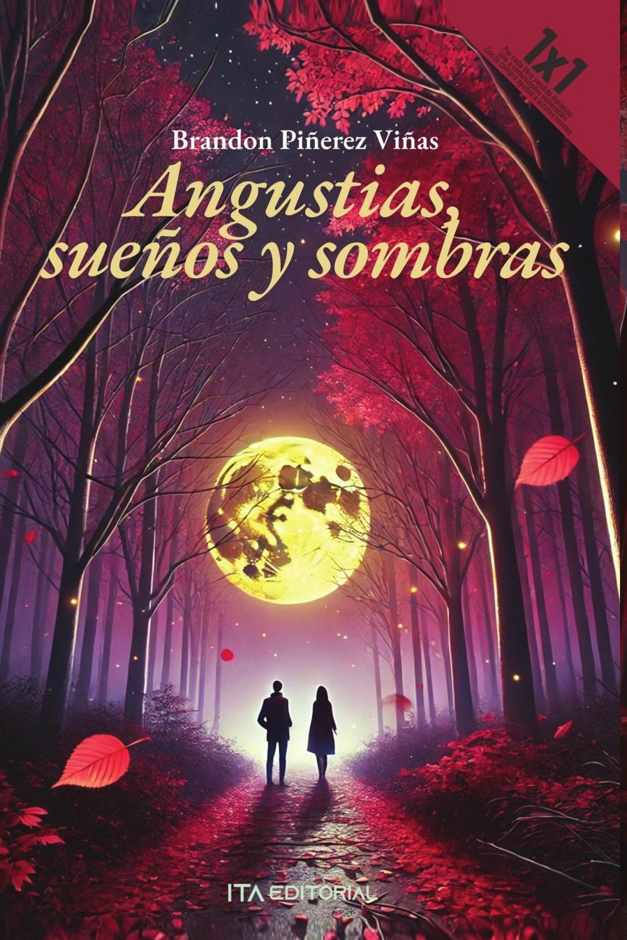 Portada de Angustias, sueños y sombras · Brandon Piñerez Viñas