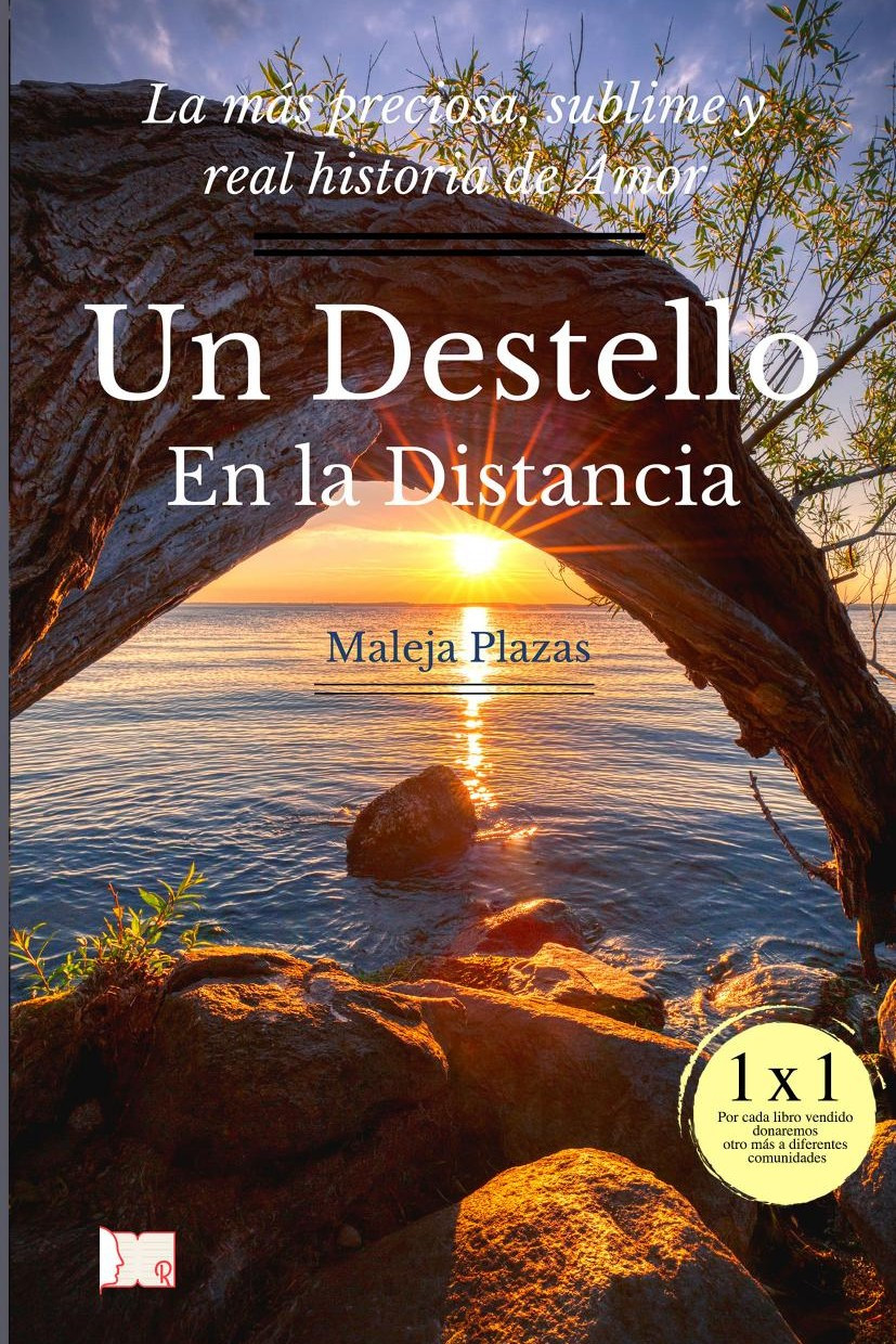 Portada de Un destello en la distancia