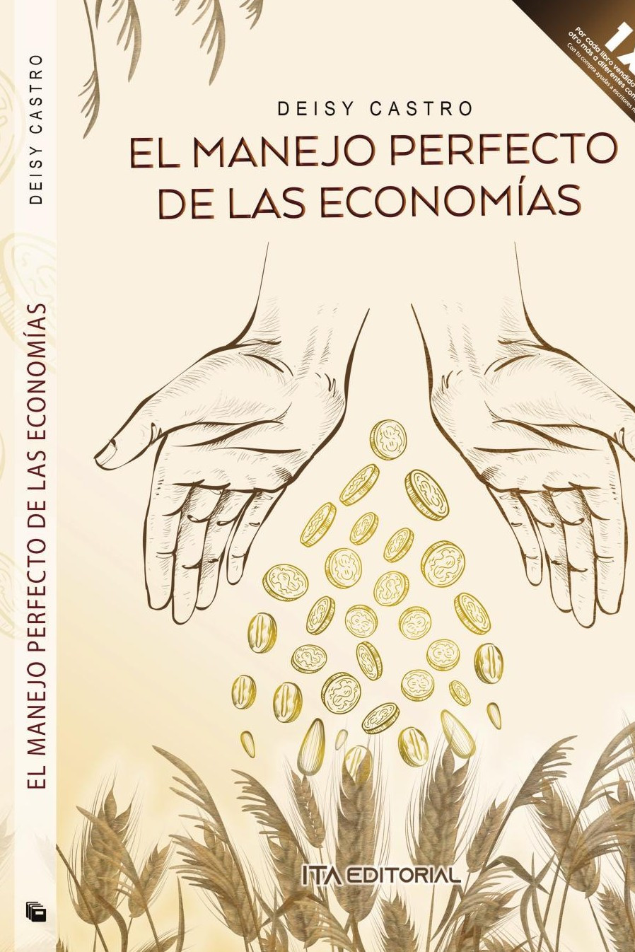 Portada de El manejo perfecto de las economías · Deisy Castro