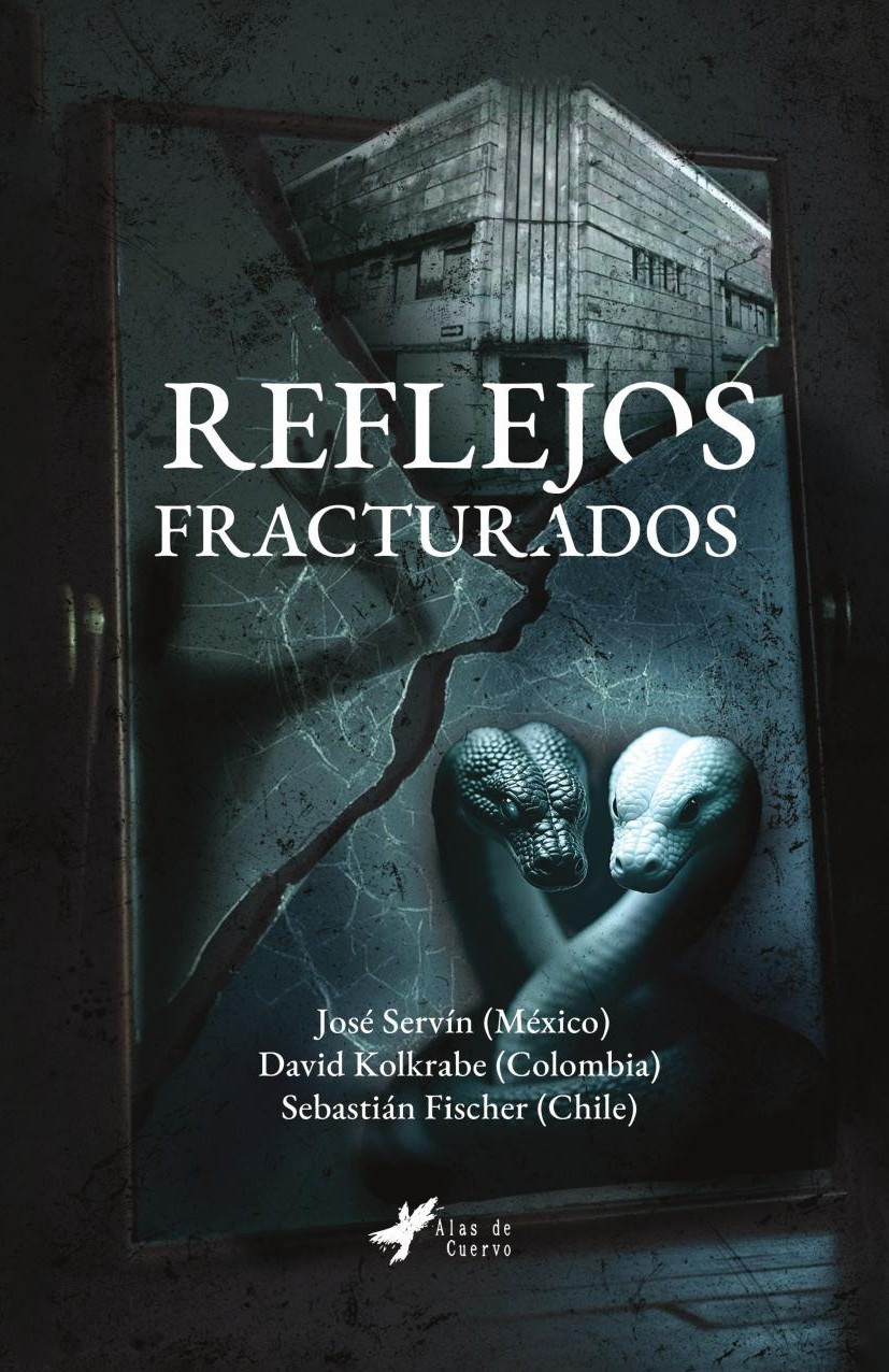 Portada de Reflejos fracturados