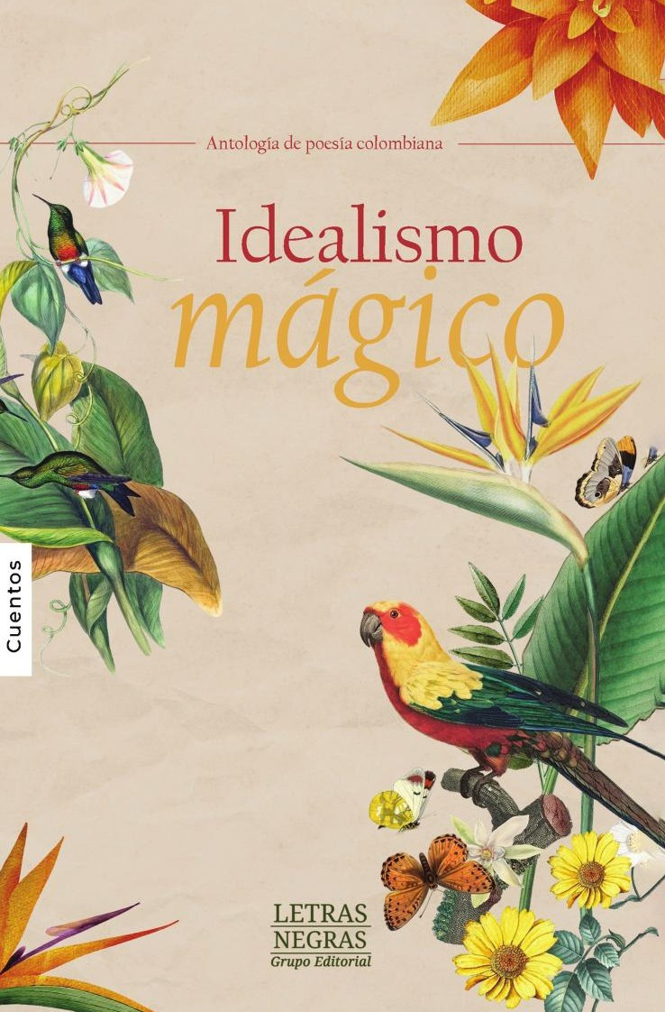 Portada de Idealismo mágico · GRUPO EDITORIAL LETRAS NEGRAS S.A.S