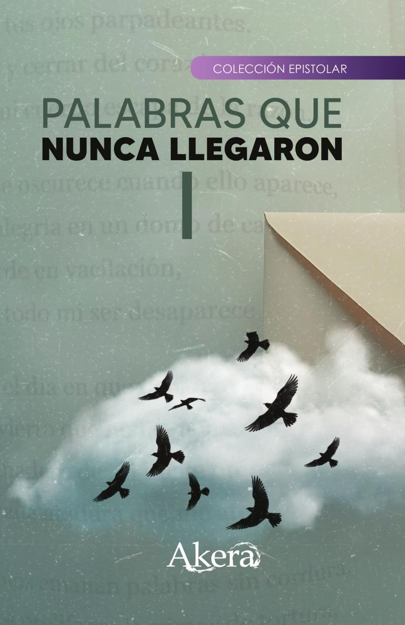 Portada de Palabras que nunca llegaron I · GRUPO EDITORIAL LETRAS NEGRAS S.A.S