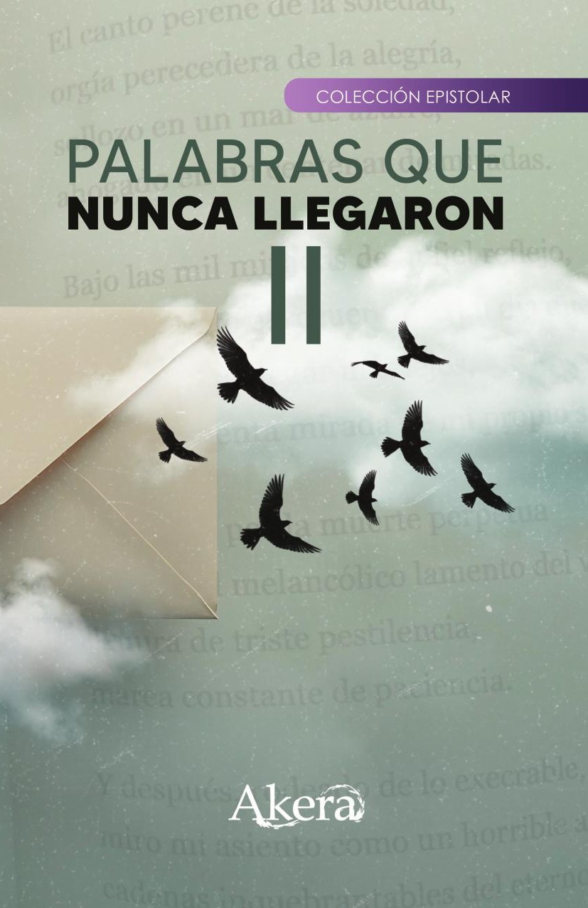 Portada de Palabras que nunca llegaron II · GRUPO EDITORIAL LETRAS NEGRAS S.A.S