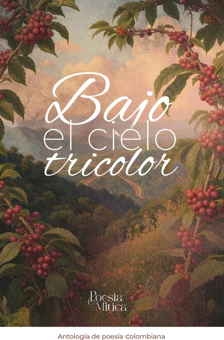 Portada de Bajo el cielo tricolor