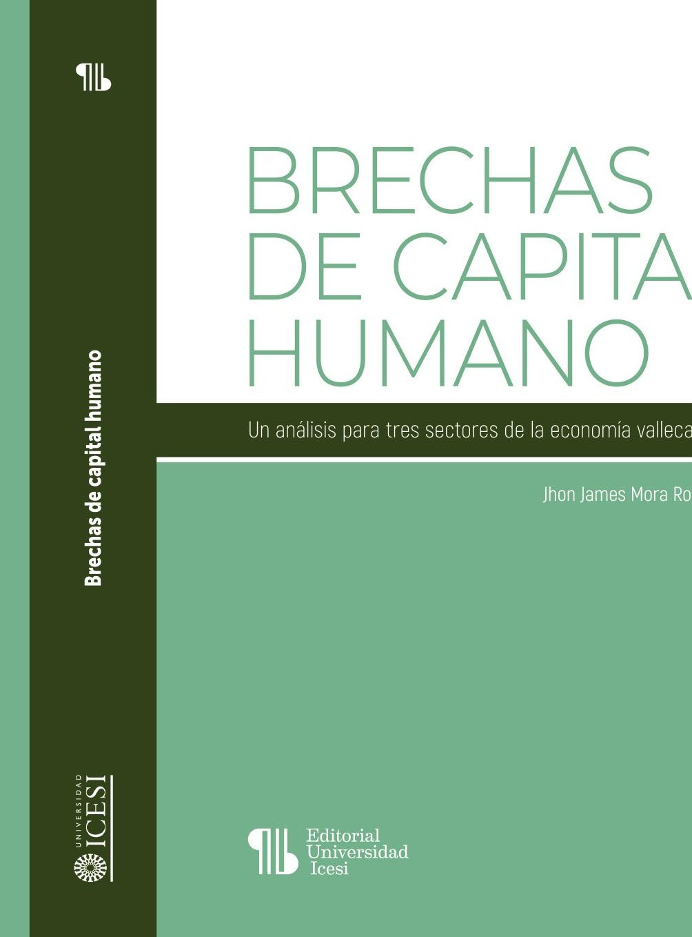 Portada de Brechas de capital humano