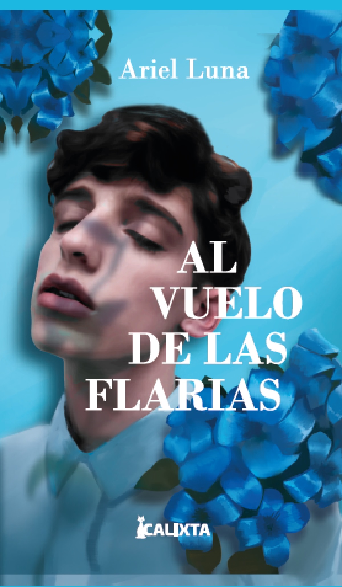 Portada de Al vuelo de las flarias · Ariel Luna