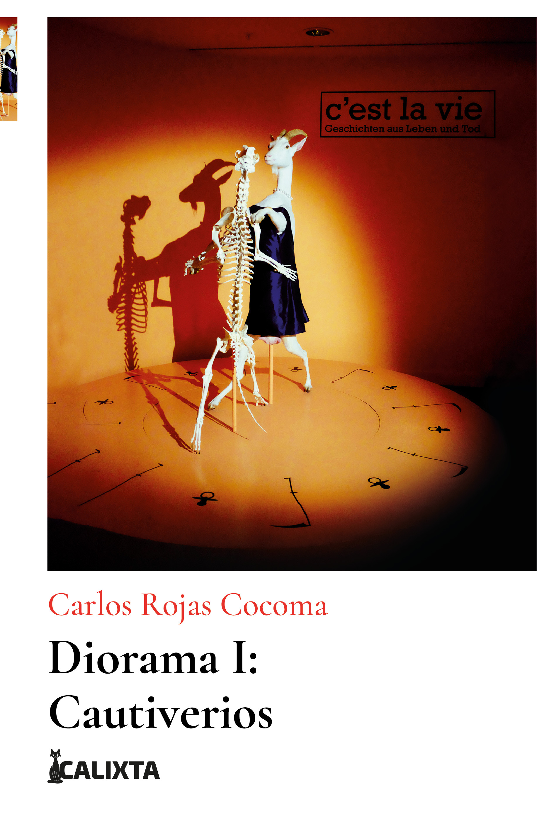 Portada de Diorama I · Carlos Rojas Cocoma
