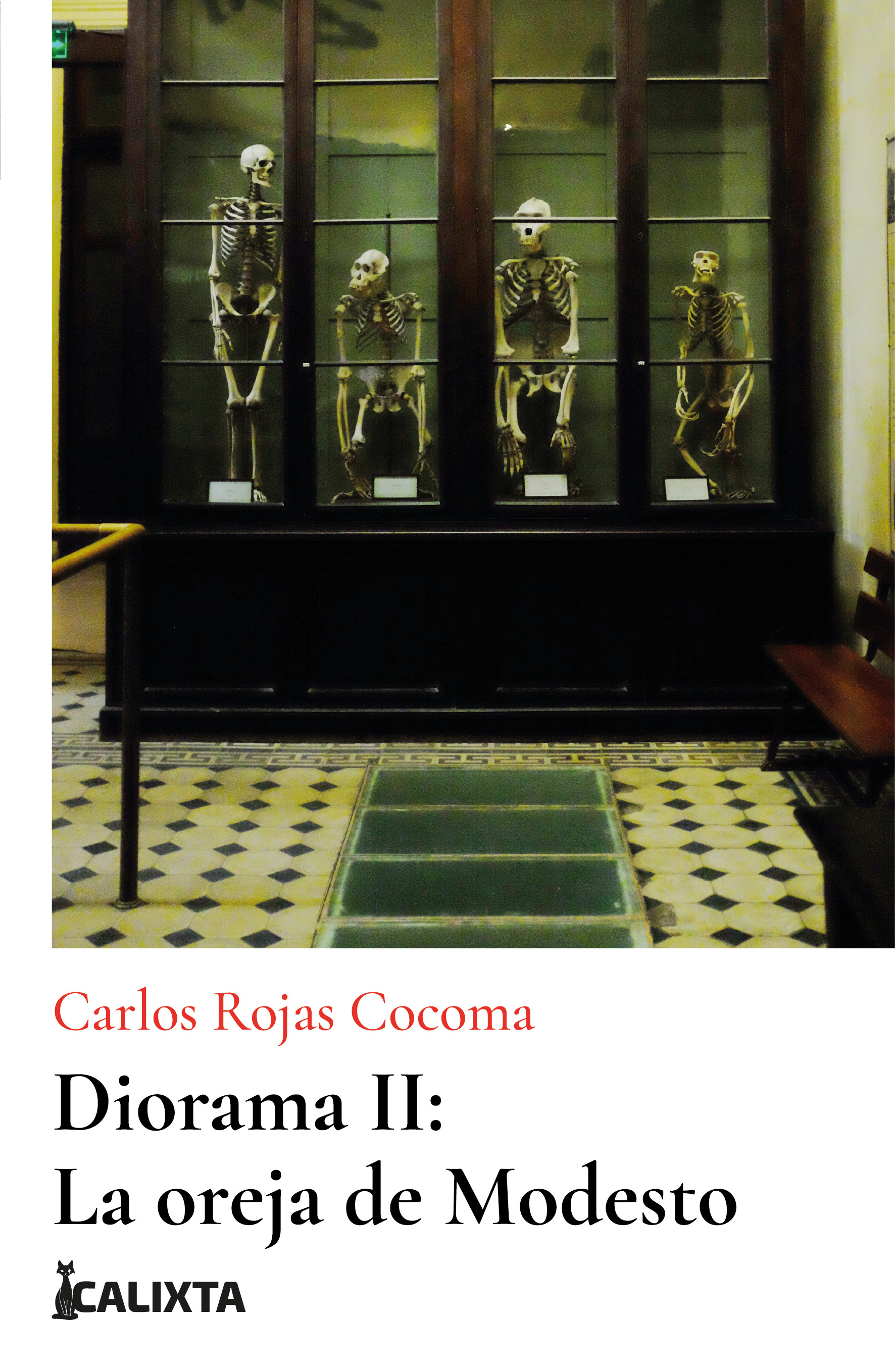 Portada de Diorama ii