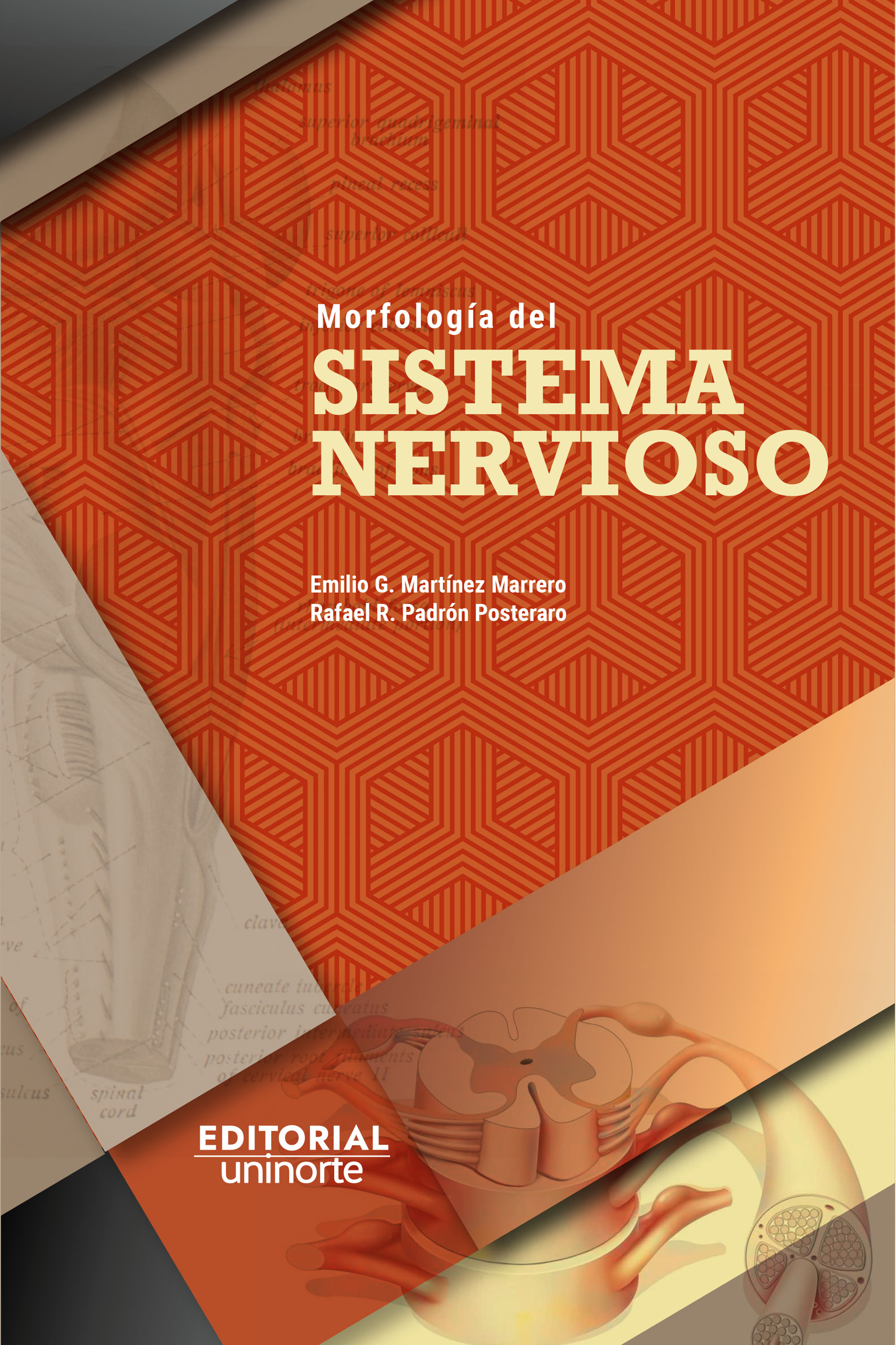 Portada de Morfología del sistema nervioso